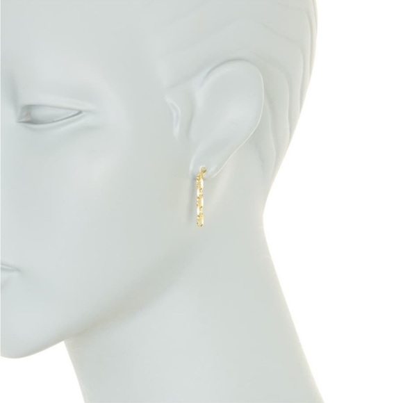 + ARGENTO VIVO + Mariner Chain Earrings - Picture 2 of 2